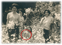 véro bébé